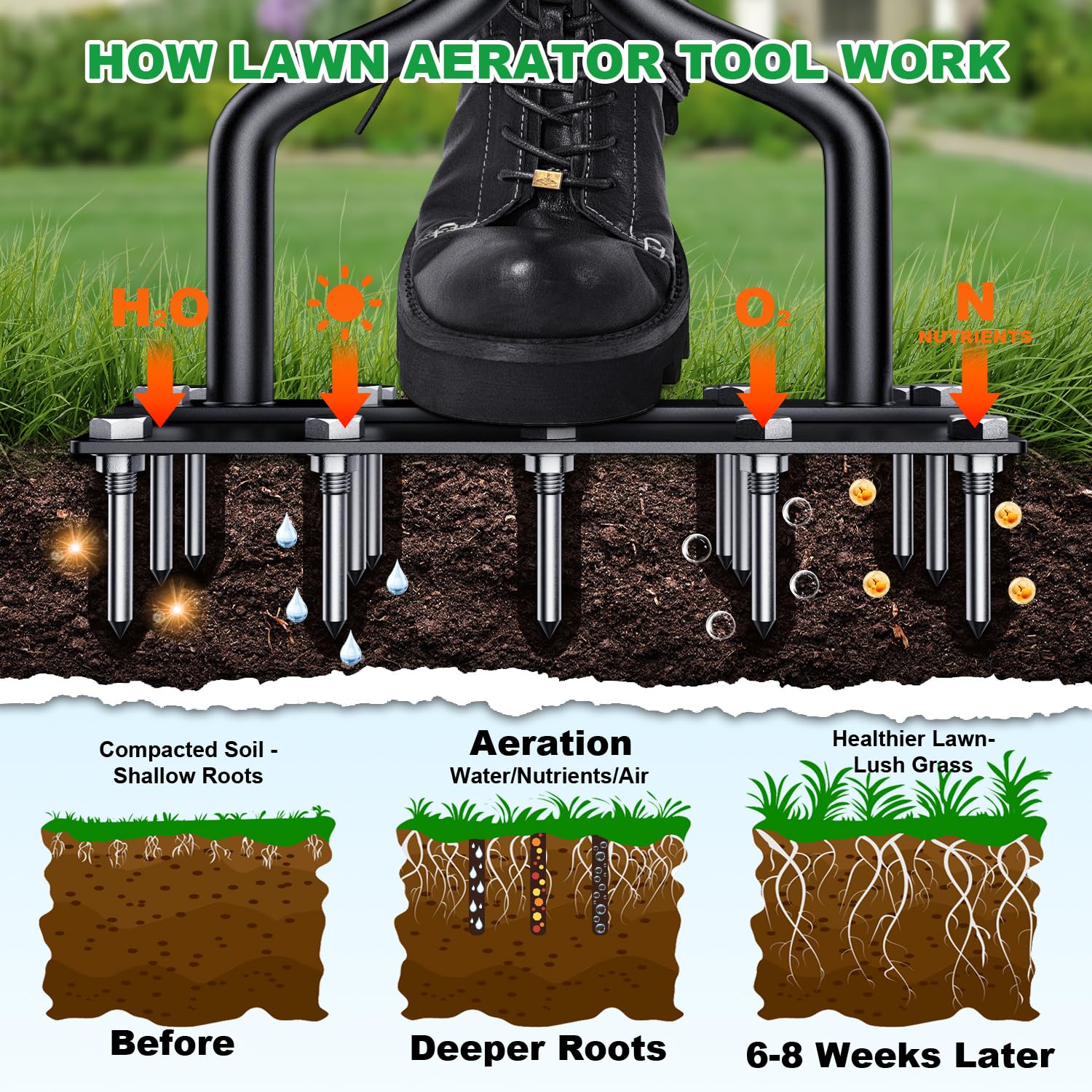 2 in 1 Spiked Aerator Manual Aerator Lawn Tool - Image 10