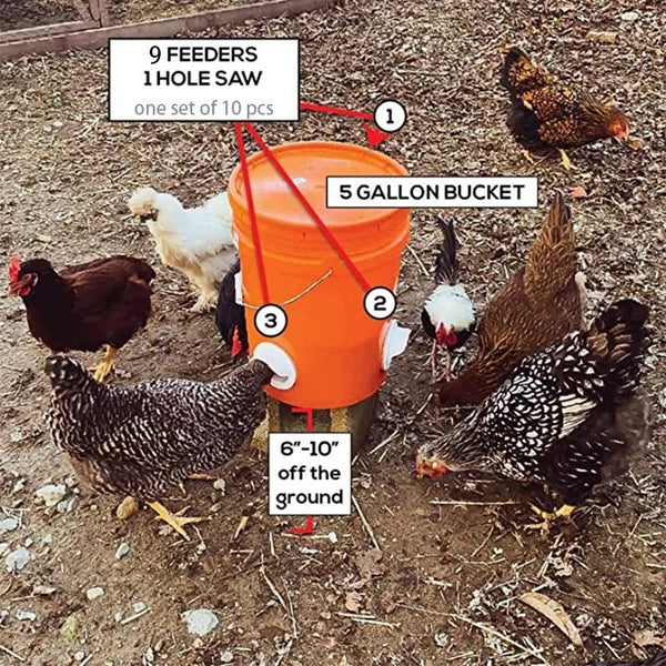 🔥 DIY Chicken Feeder - Image 2