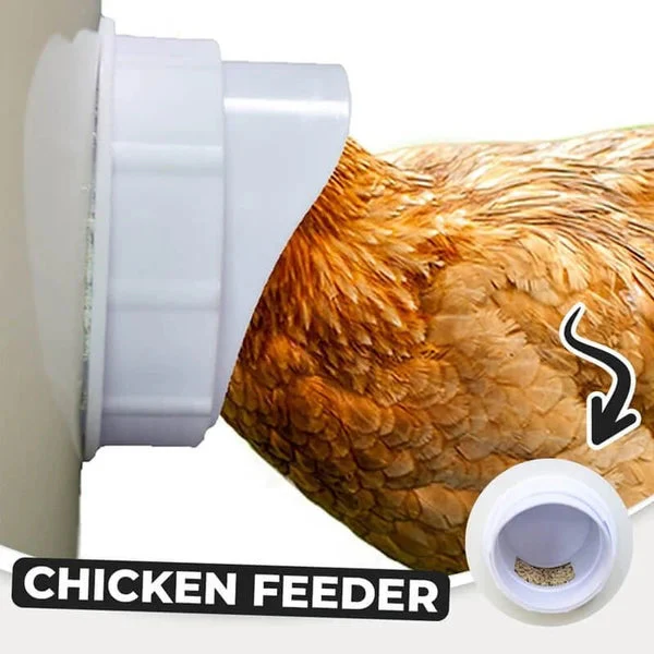 🔥 DIY Chicken Feeder - Image 6