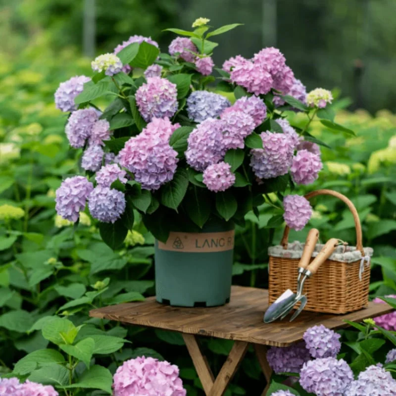 40% OFF-Outdoor Artificial Hydrangea Flowersđ - Image 13