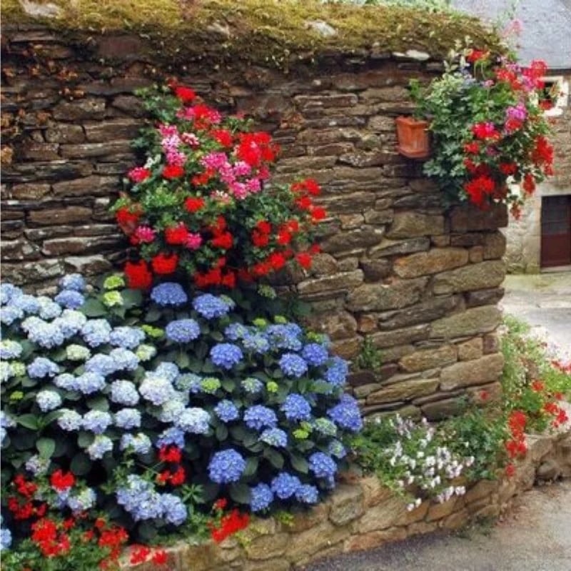 40% OFF-Outdoor Artificial Hydrangea Flowersđ - Image 15