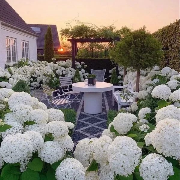 40% OFF-Outdoor Artificial Hydrangea Flowersđ - Image 20