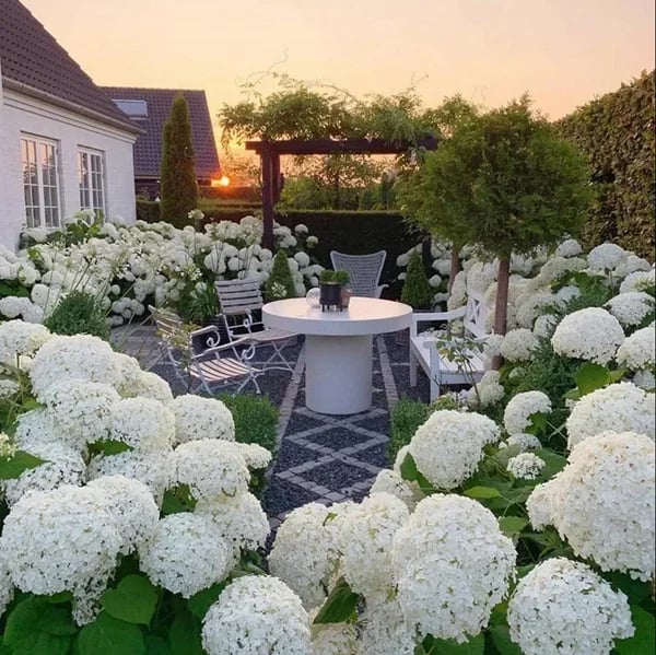 40% OFF-Outdoor Artificial Hydrangea Flowersđ - Image 4