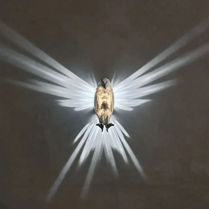 🔥 3D Animals LED Wall Light 🔥 Bald Eagle & Night Owl & Lion Head - Image 3