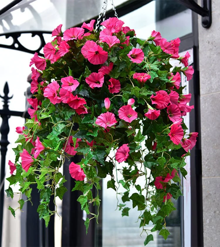 💥UV Simulation Artificial morning glory✨2024 New upgrade hot sales✨ - Image 7