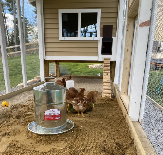 Automatic Chicken Coop Door - Image 2