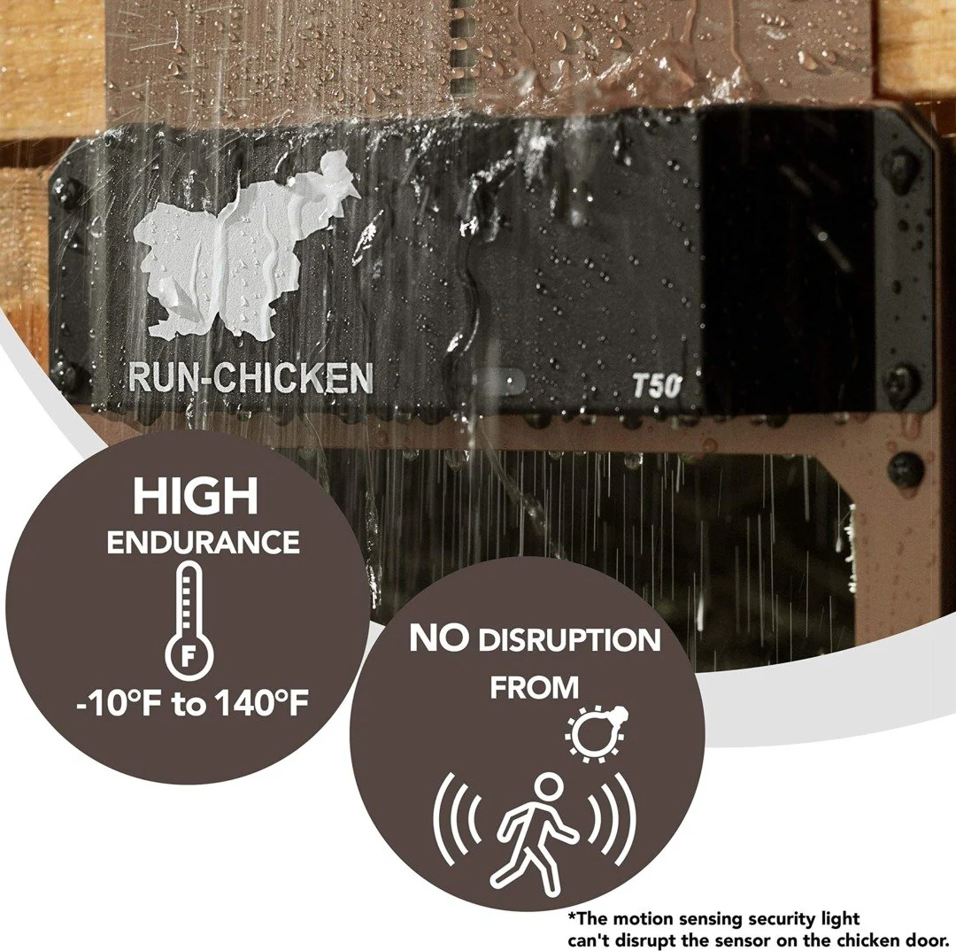 Automatic Chicken Coop Door - Image 3