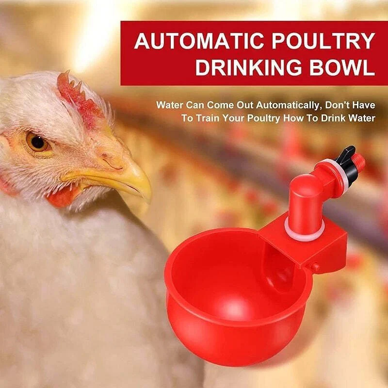 Automatic Chicken Water Cup Bird Coop - Image 5