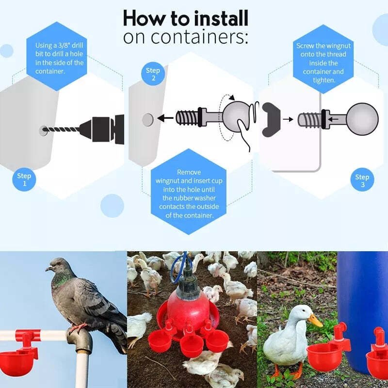 Automatic Chicken Water Cup Bird Coop - Image 9