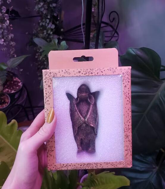 Bronze Bat Pot Buddy, Pot Hanger, Bat Gifts, Gift Boxed(11 x 5.5 x 4.5 cm) - Image 11