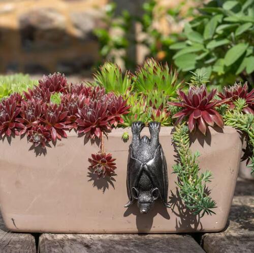 Bronze Bat Pot Buddy, Pot Hanger, Bat Gifts, Gift Boxed(11 x 5.5 x 4.5 cm) - Image 4