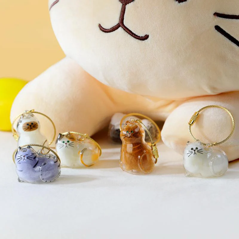 [Buy More Save More]10Pcs Cat Fur Collection Capsule, Cat Fur Memory Charm, Which Can Be Used as a Keychain - Image 3