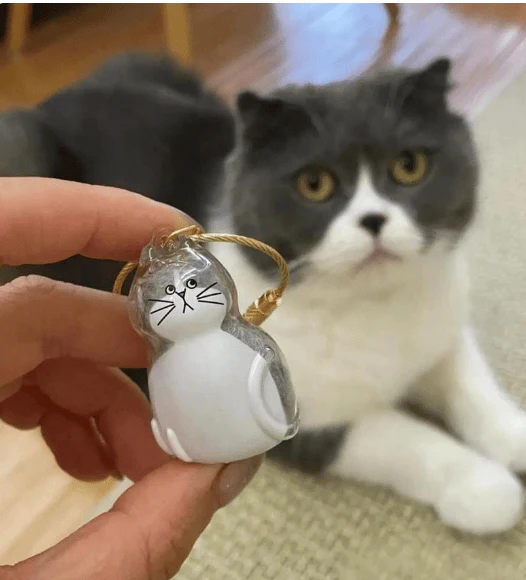 [Buy More Save More]10Pcs Cat Fur Collection Capsule, Cat Fur Memory Charm, Which Can Be Used as a Keychain - Image 4