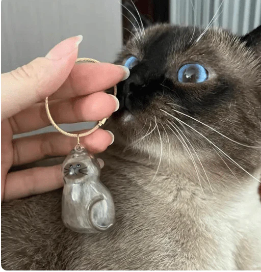 [Buy More Save More]10Pcs Cat Fur Collection Capsule, Cat Fur Memory Charm, Which Can Be Used as a Keychain - Image 8