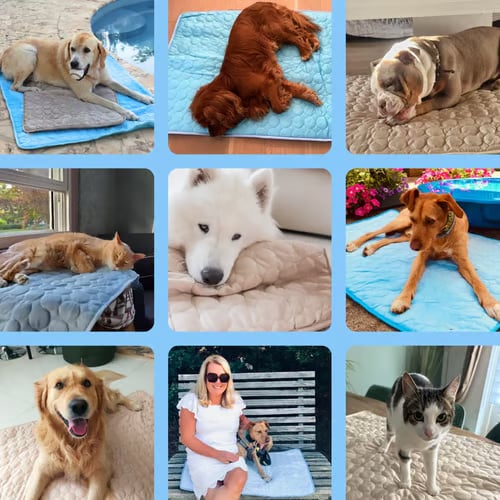 🐶Dog Cooling Mat (4x more effective) - Image 2