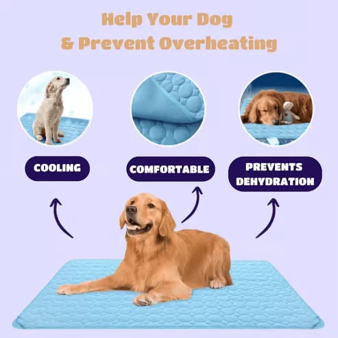 🐶Dog Cooling Mat (4x more effective) - Image 8