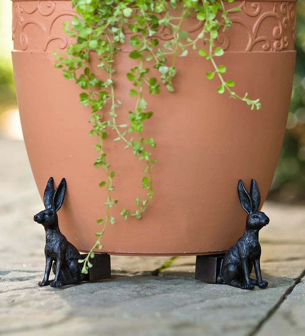 Cute Animal Shaped Pots Feet(🔥set of 3) - Image 2