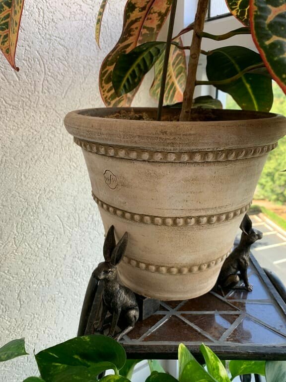 Cute Animal Shaped Pots Feet(🔥set of 3) - Image 6