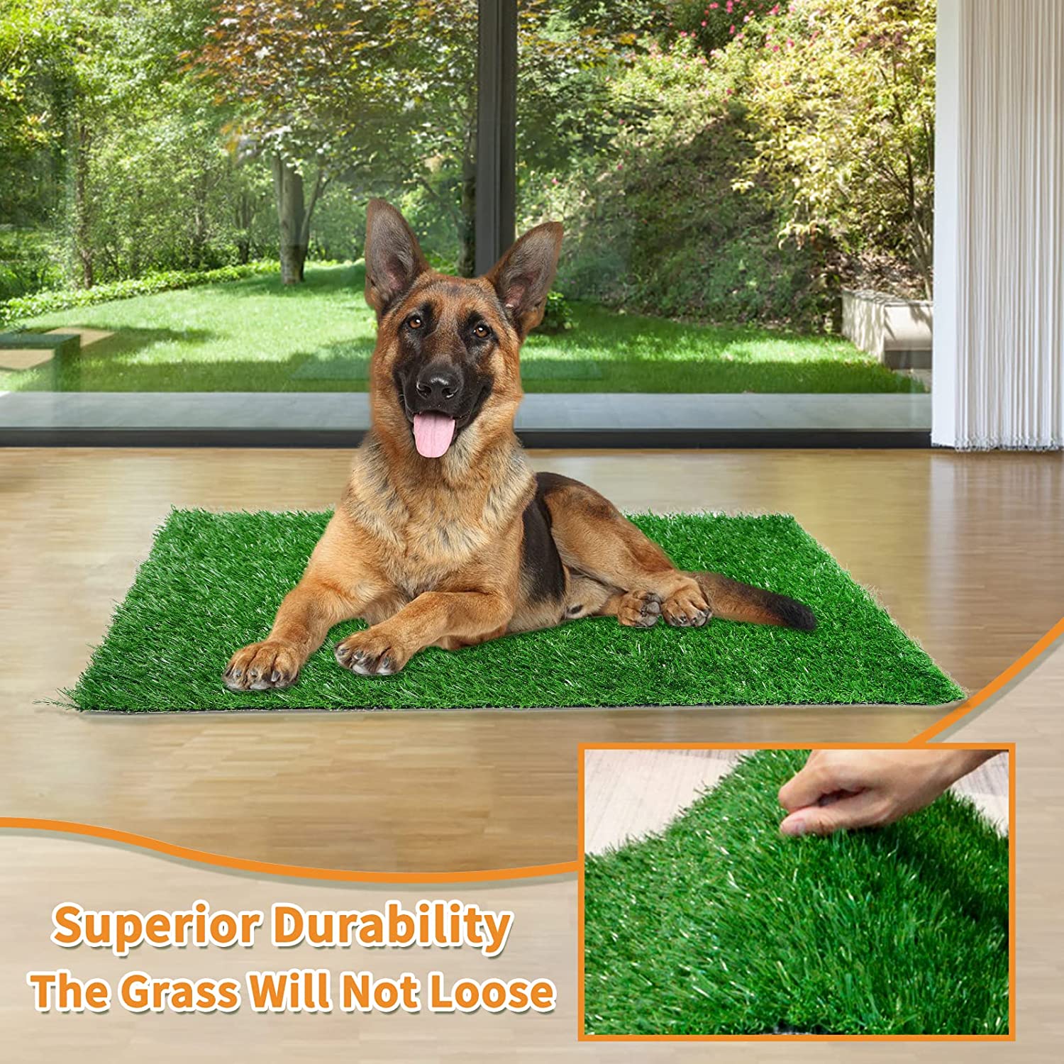 đ Dog Grass Pee Pads - Image 3