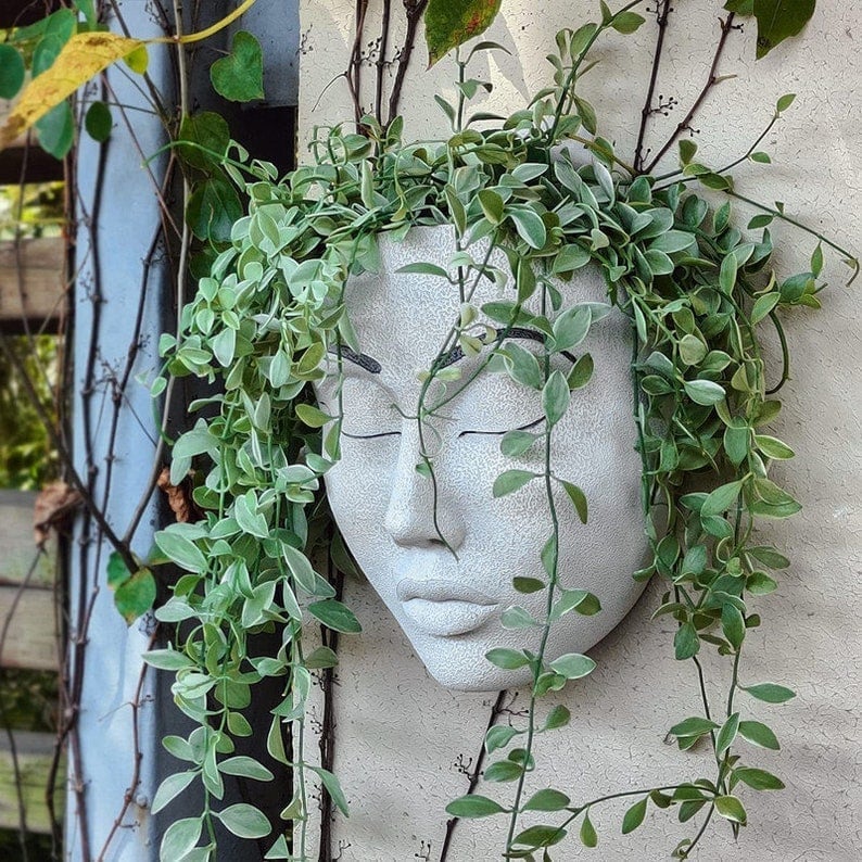 🔥Fill your garden with art🎁Plant Faces - Image 2