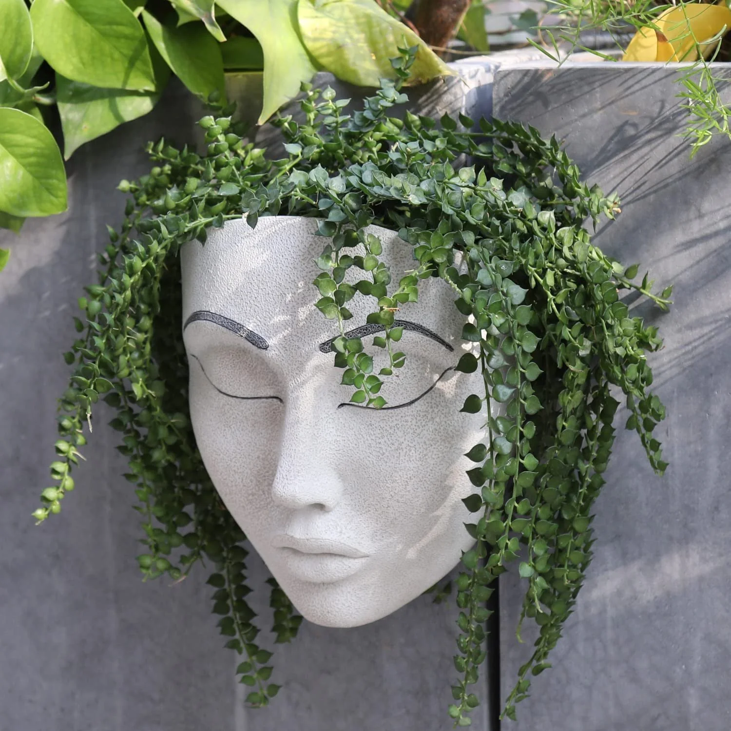 🔥Fill your garden with art🎁Plant Faces - Image 7