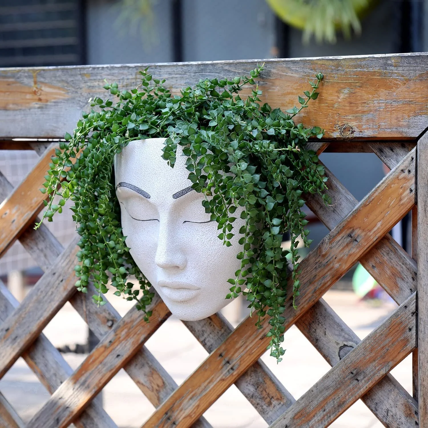 🔥Fill your garden with art🎁Plant Faces - Image 8