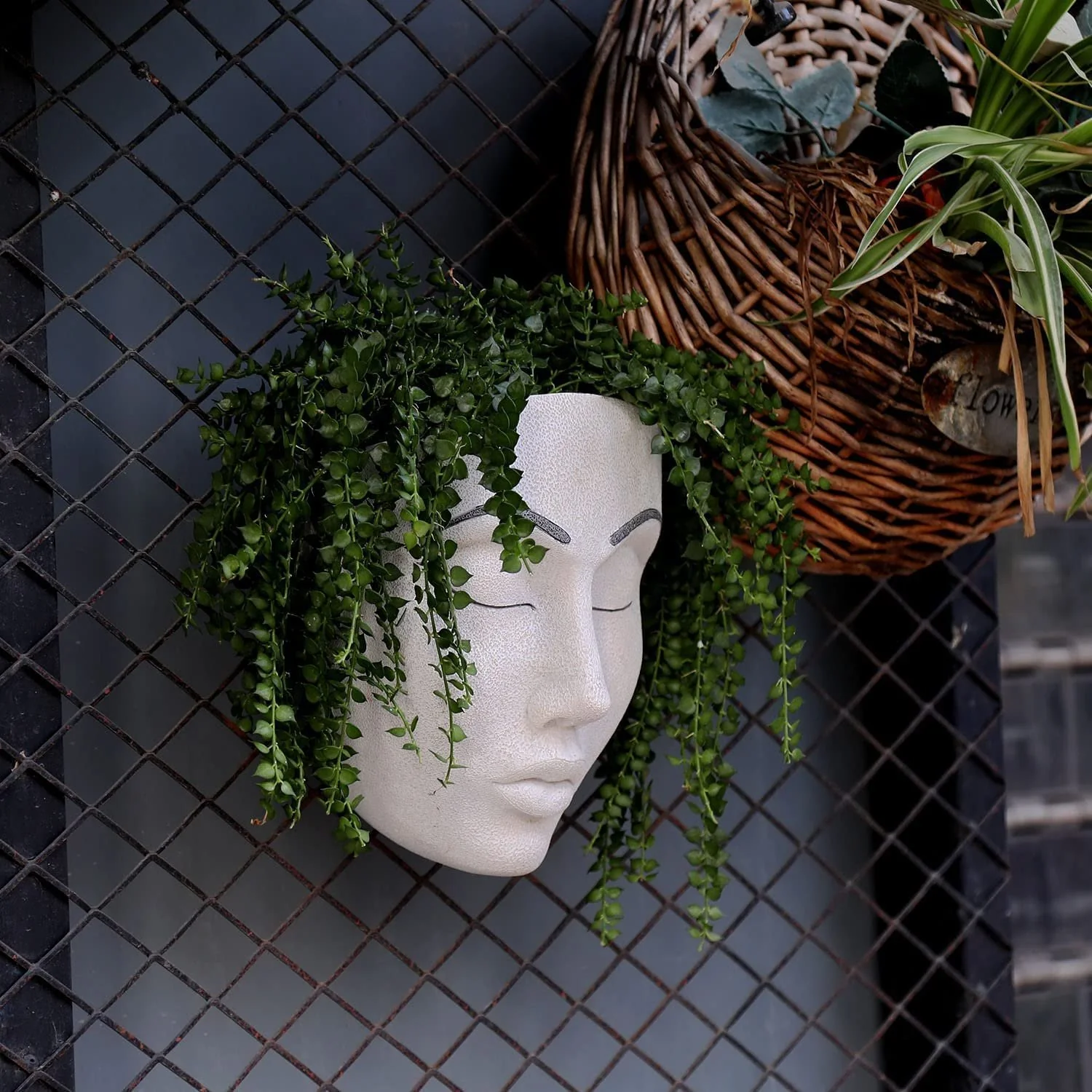 🔥Fill your garden with art🎁Plant Faces - Image 9