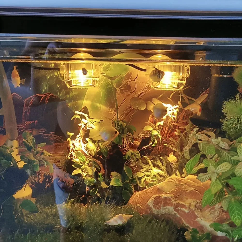 Aquarium Spotlight For Romantic Fish Tank - Image 3