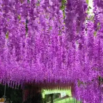 🎄🎁Holiday sale🌺Vivid Artificial Hanging Orchid Bunch🌷 - Image 12