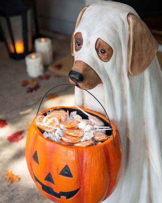 (🎃Halloween Hot Sale🎃) GHOST DOG CANDY BOWL - Image 4