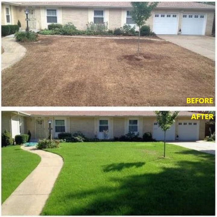 🔥BUY 3 GET 3 FREE (6PCS)🔥 Grass Seed Mat- 2MIN TO INSTALL - Image 4