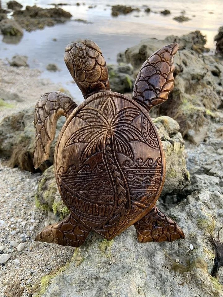 Hawaiian Turtle - Image 7