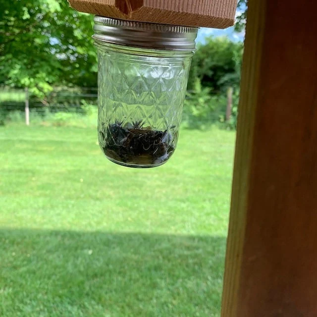 ✨Hot Sale 50% OFF--🔥Best Carpenter Bee Trap - Image 2