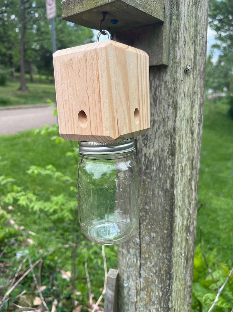 ✨Hot Sale 50% OFF--🔥Best Carpenter Bee Trap - Image 6