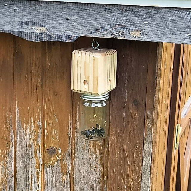 ✨Hot Sale 50% OFF--🔥Best Carpenter Bee Trap - Image 7