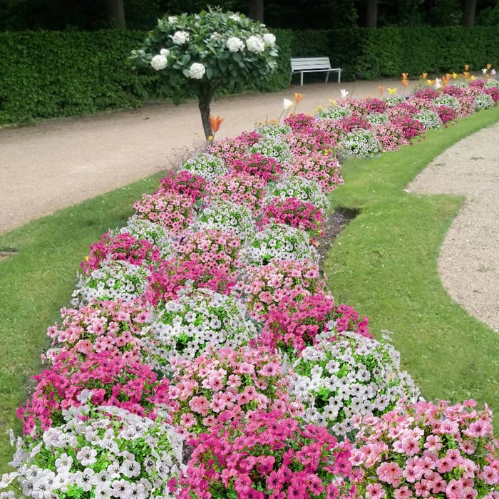 🔥Outdoor Plants - Artificial flowers - Image 2