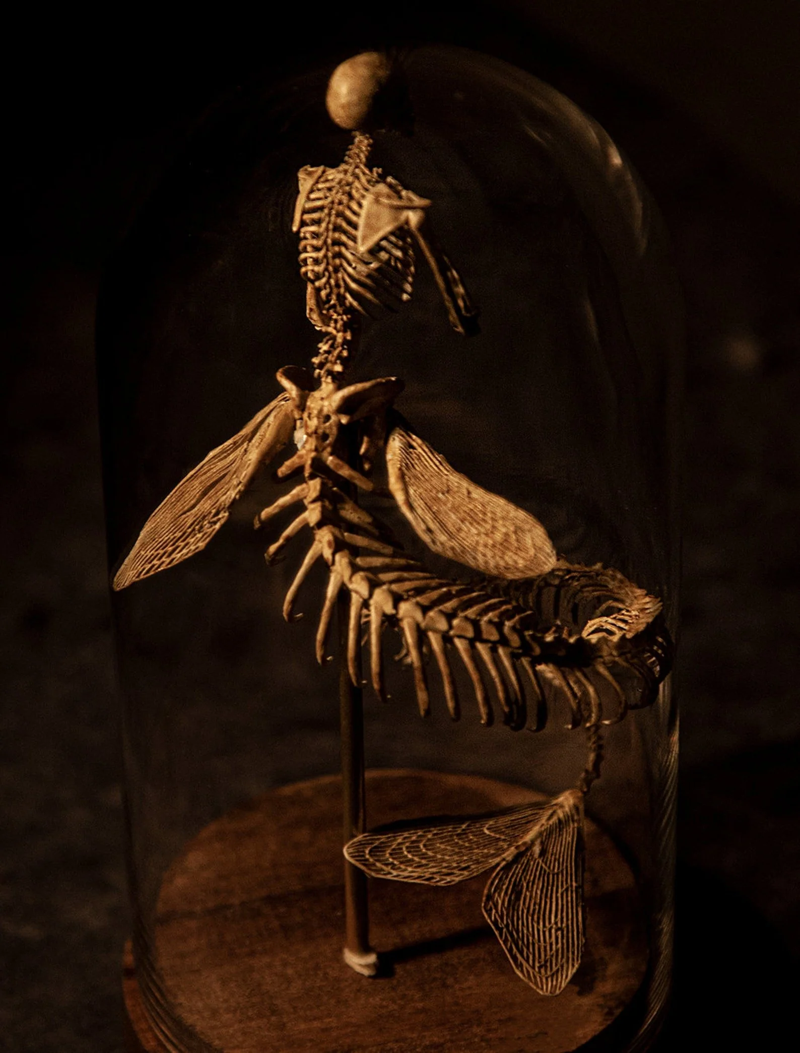 🔥🔥🔥Holiday Day Promotion 40% OFFWENDIGO SKELETON CURIOSITY CABINET - Buy two and get free shipping! - Image 11