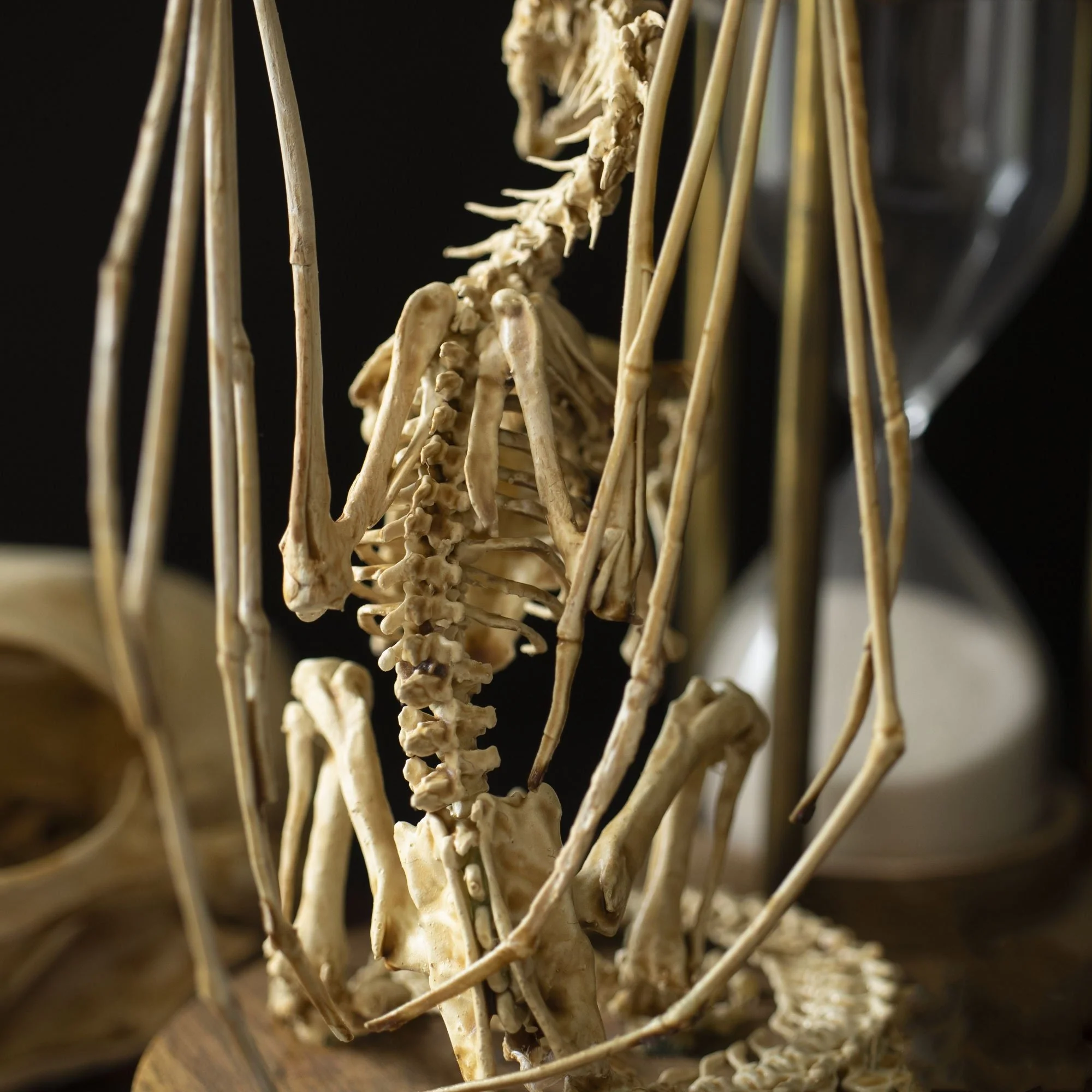 🔥🔥🔥Holiday Day Promotion 40% OFFWENDIGO SKELETON CURIOSITY CABINET - Buy two and get free shipping! - Image 15