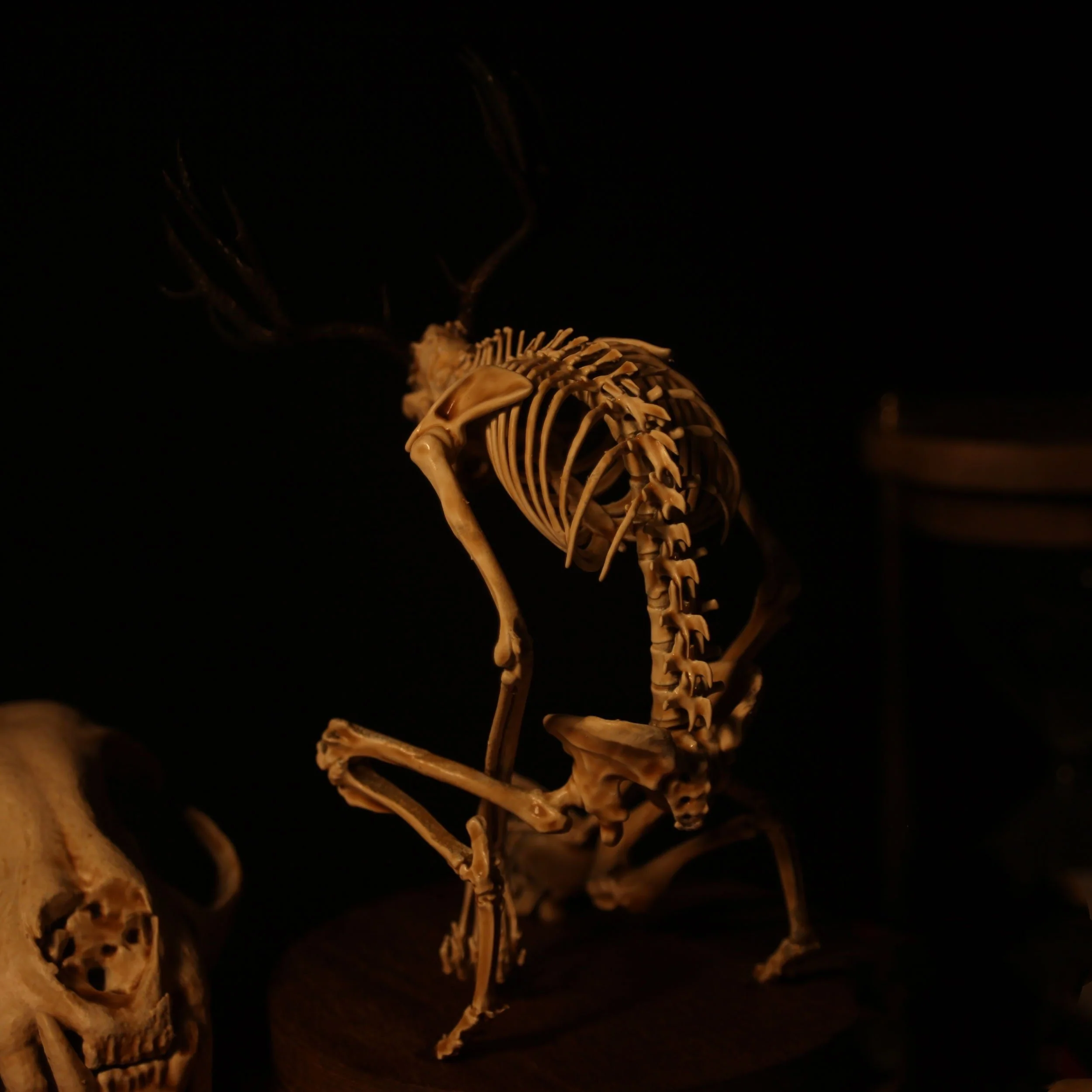 🔥🔥🔥Holiday Day Promotion 40% OFFWENDIGO SKELETON CURIOSITY CABINET - Buy two and get free shipping! - Image 3