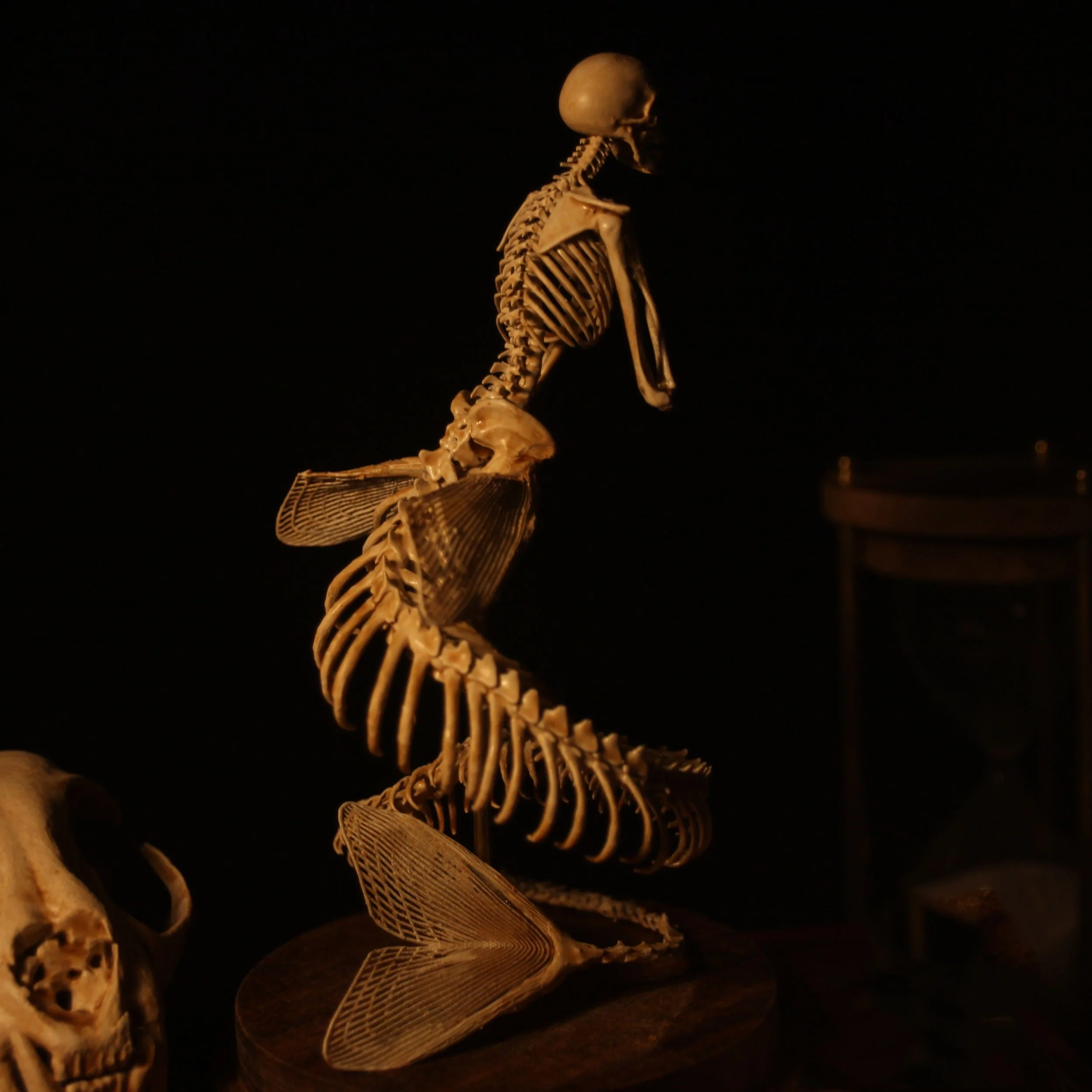 🔥🔥🔥Holiday Day Promotion 40% OFFWENDIGO SKELETON CURIOSITY CABINET - Buy two and get free shipping! - Image 7