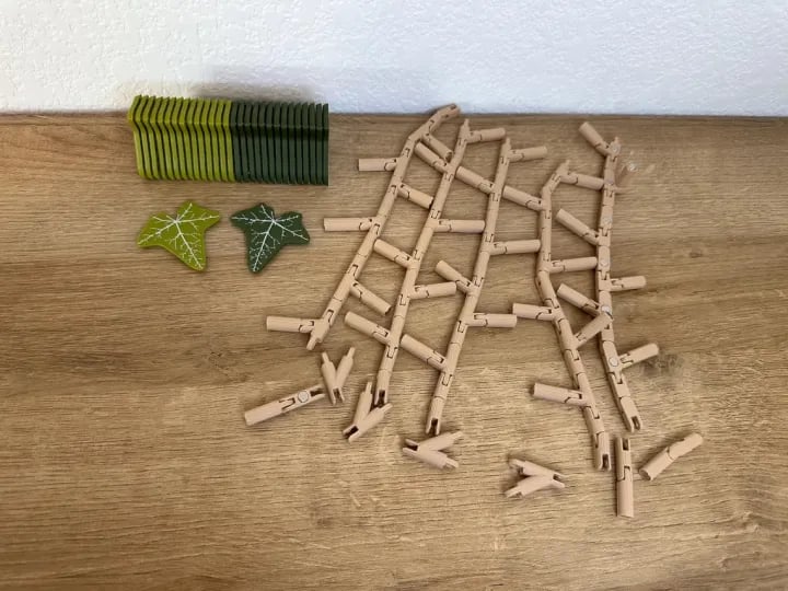3D Ivy Fridge Magnets - Image 10