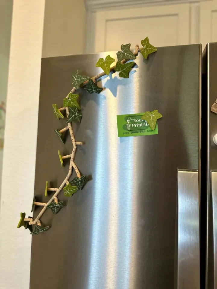 3D Ivy Fridge Magnets - Image 6