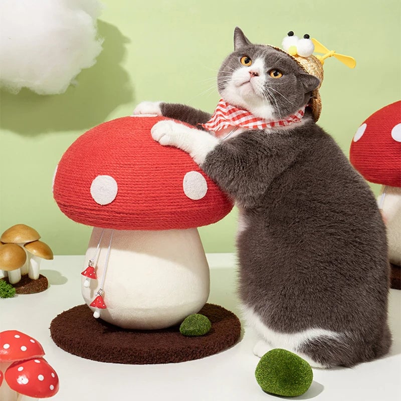 🔥 Hot sale 🔥Mushroom Cat Scratcher&Buy two and get free shipping! - Image 4
