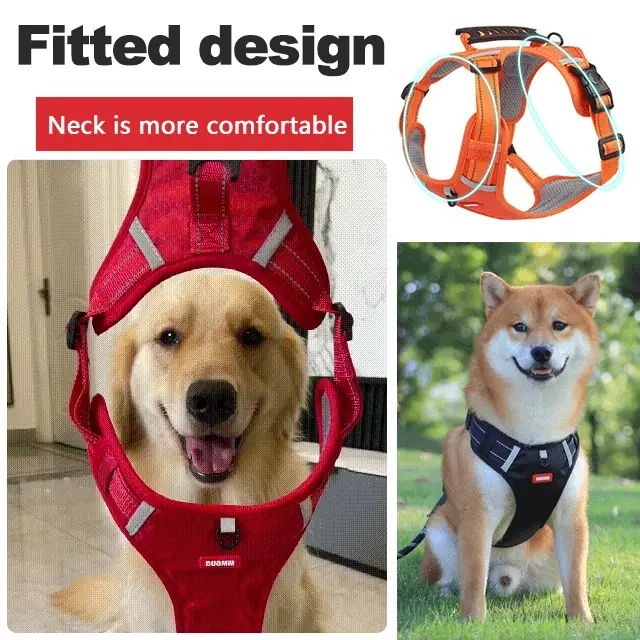 No Pull Dog Harness for Pets - Image 2