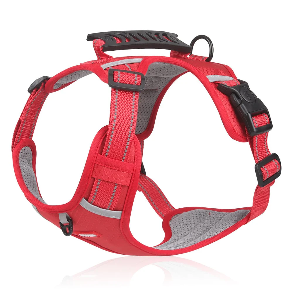 No Pull Dog Harness for Pets - Image 4