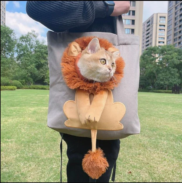 ( Promotion 50% OFF!⚡) Pet Canvas Shoulder Carrying Bag - Image 8