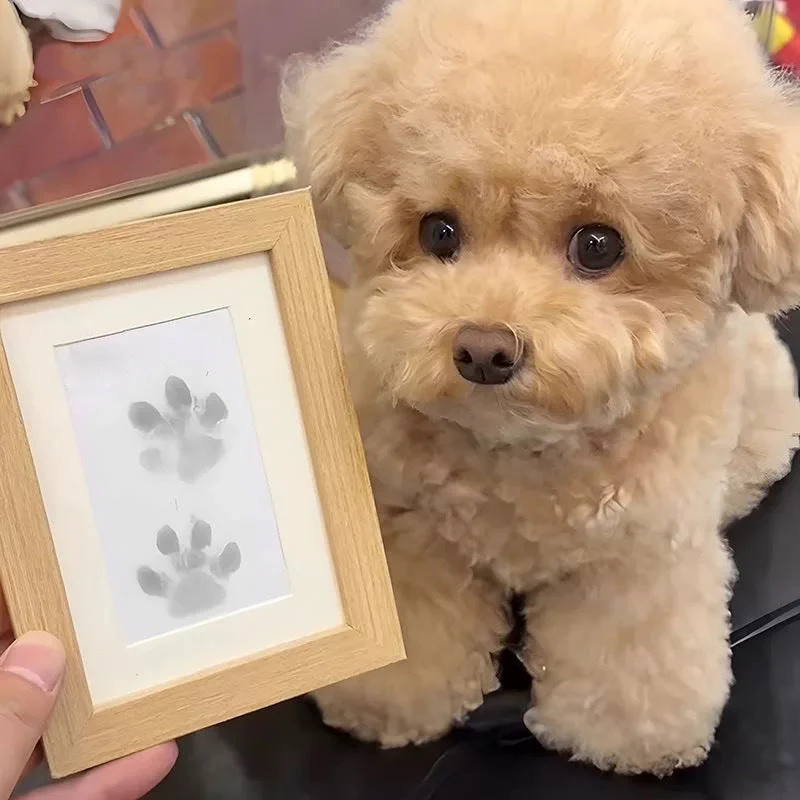 Pet Paw Printing Kit - Image 11