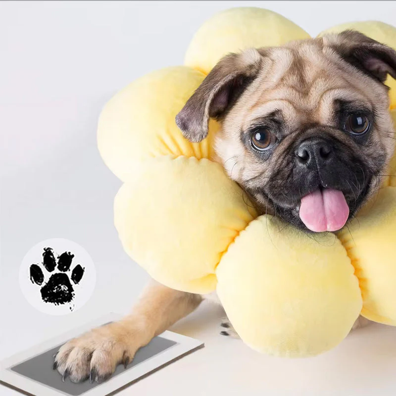 Pet Paw Printing Kit - Image 5