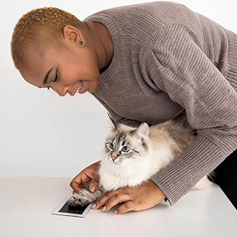Pet Paw Printing Kit - Image 7