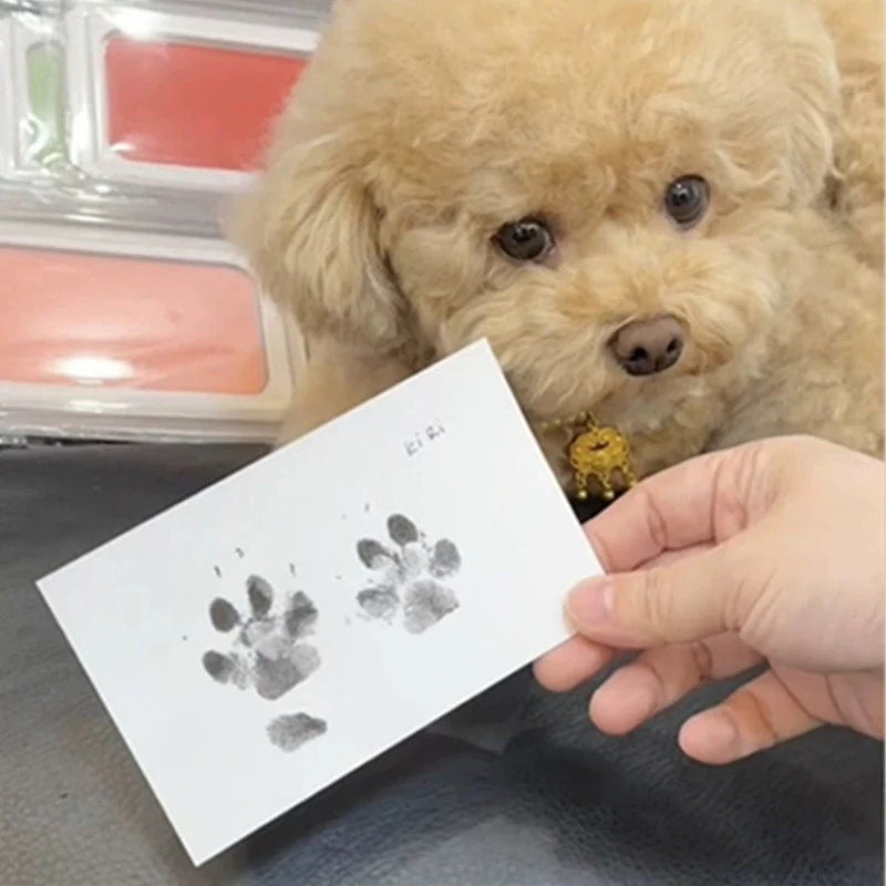 Pet Paw Printing Kit - Image 8